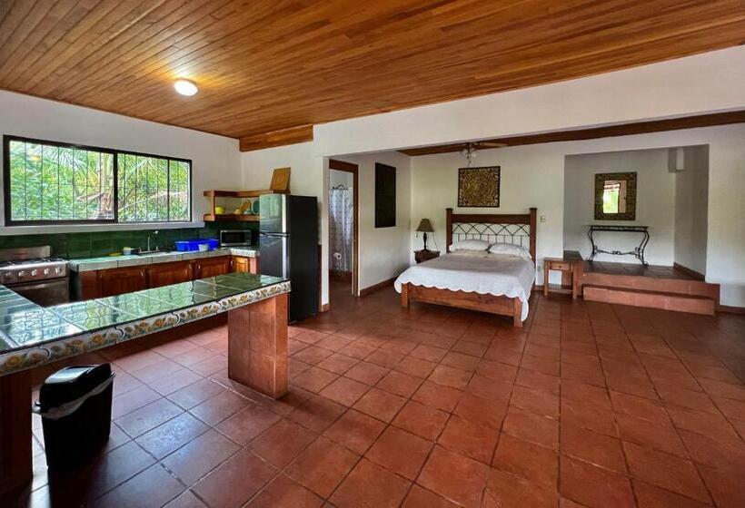 شقة غرفة نوم واحدة مزودة بشُرفة, Eden Atenas