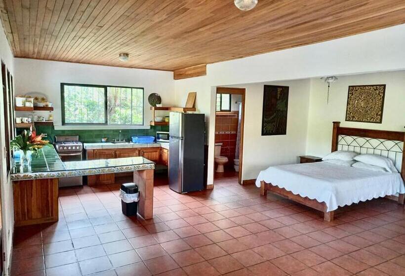 شقة غرفة نوم واحدة مزودة بشُرفة, Eden Atenas