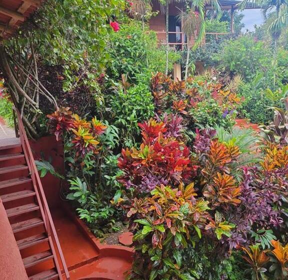 디럭스 룸, Eden Atenas