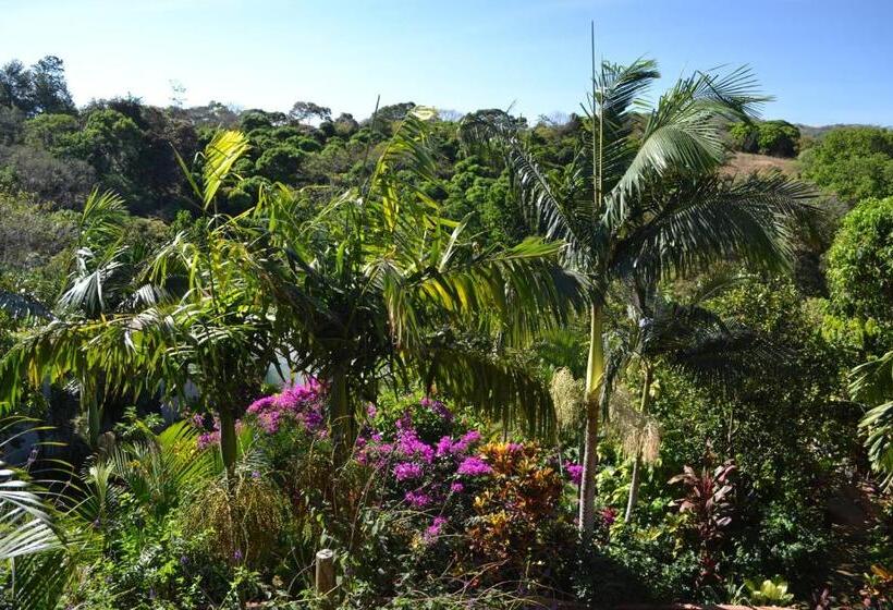 غرفة ديلوكس, Eden Atenas