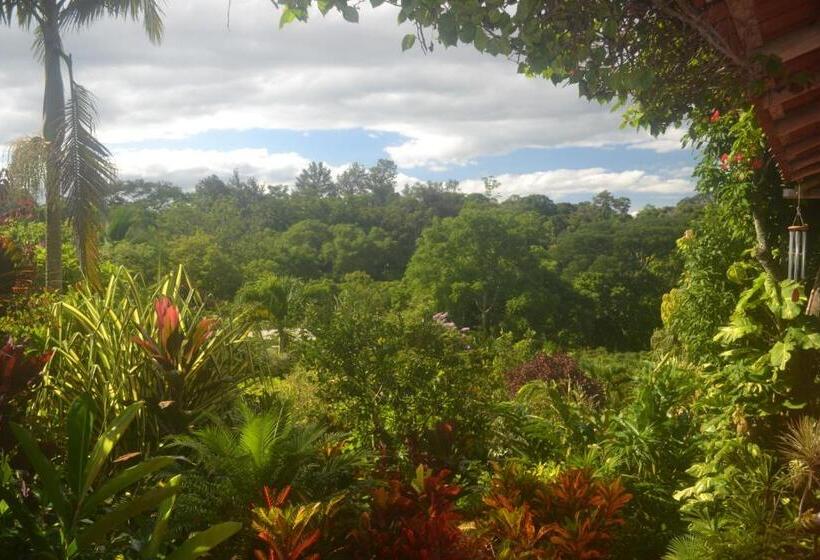 غرفة قياسية, Eden Atenas