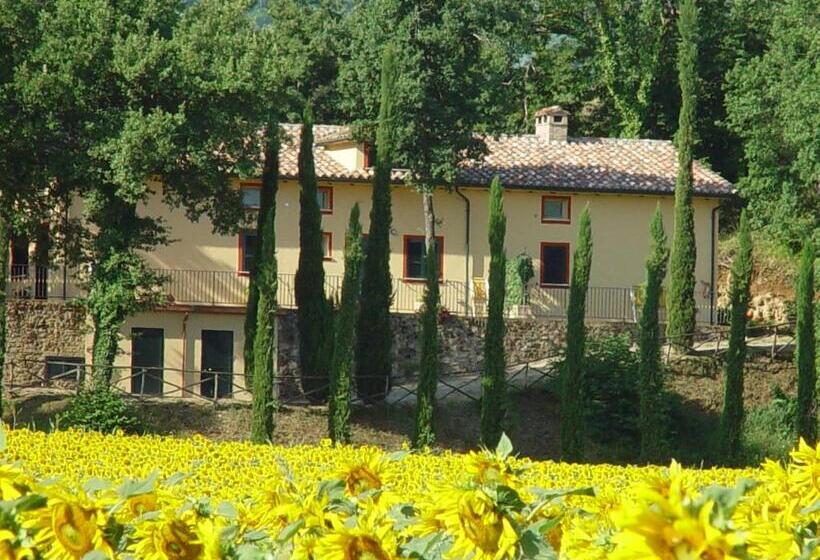 חדר סטודיו סטנדרד, Agriturismo La Sovana