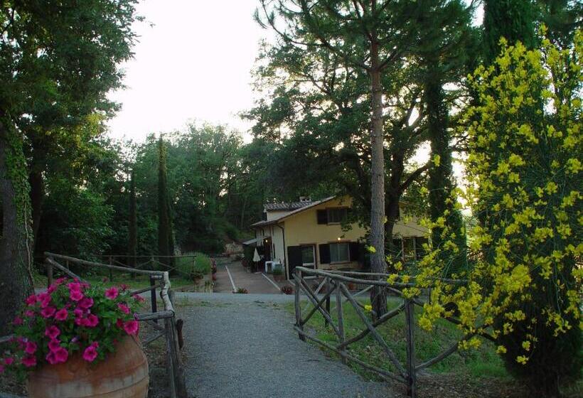 חדר סטודיו סטנדרד, Agriturismo La Sovana