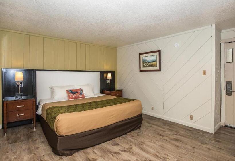 Deluxe Kamer met Kingsize Bed, Chalet Inn