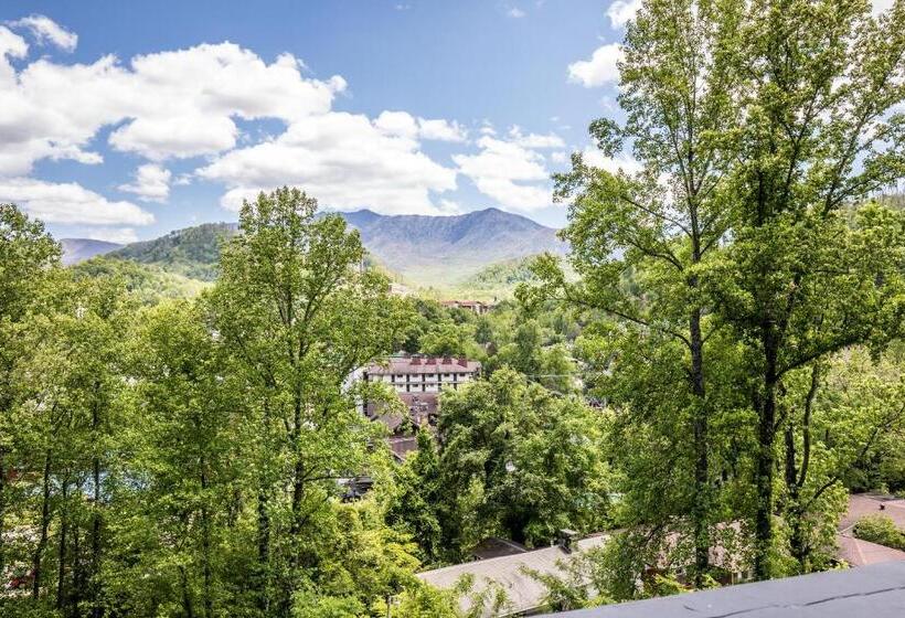 חדר דלוקס, Chalet Inn