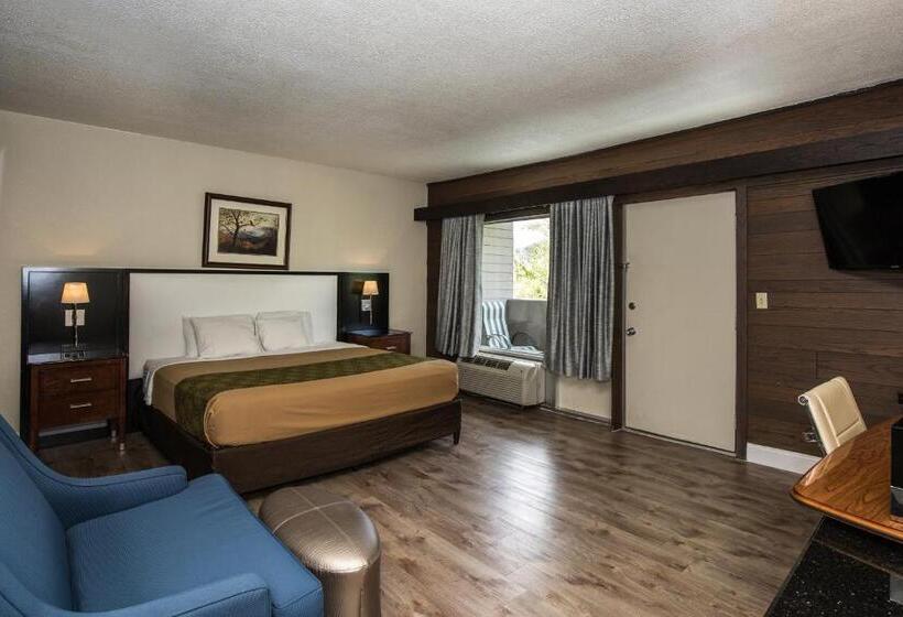 Standaardkamer met Kingsize Bed, Chalet Inn