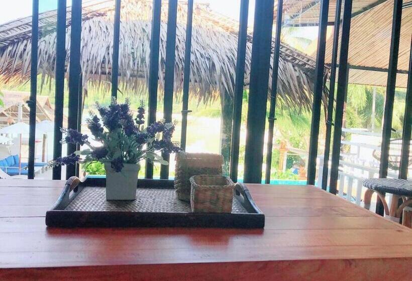 בקתה סטנדרטית, Cookies Salad Resort