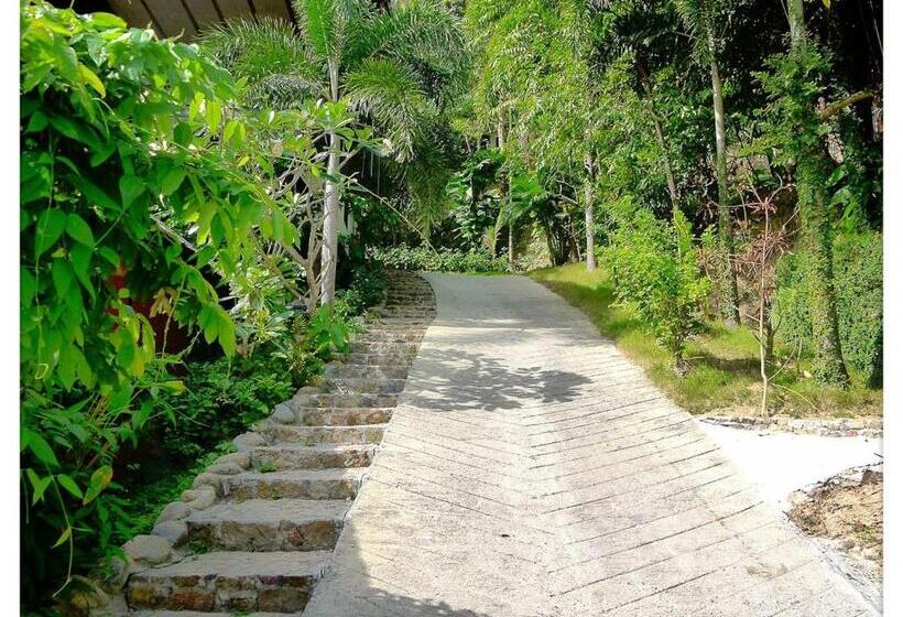 חדר דלוקס נוף לים, Cookies Salad Resort