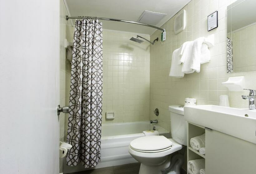 2ダブルベッドのスタンダードルーム, Royal Oak