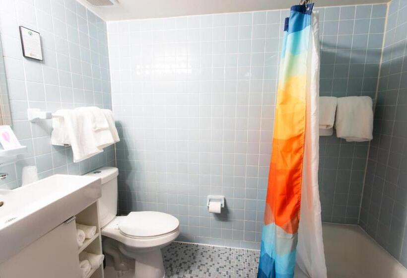 キングサイドベッドのスタンダードワンルーム, Royal Oak