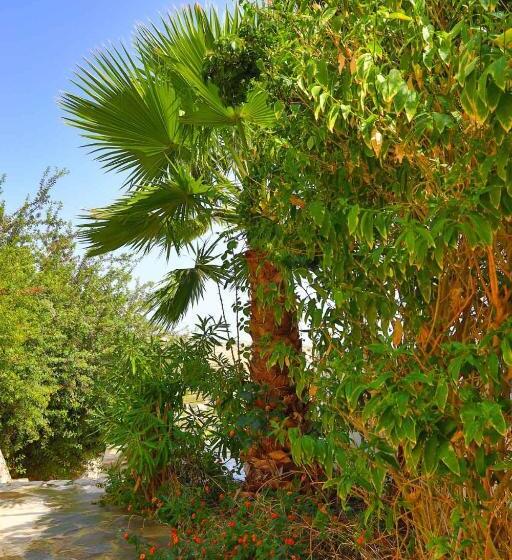 Triple Room Sea View, Armonia By Grispos Villas