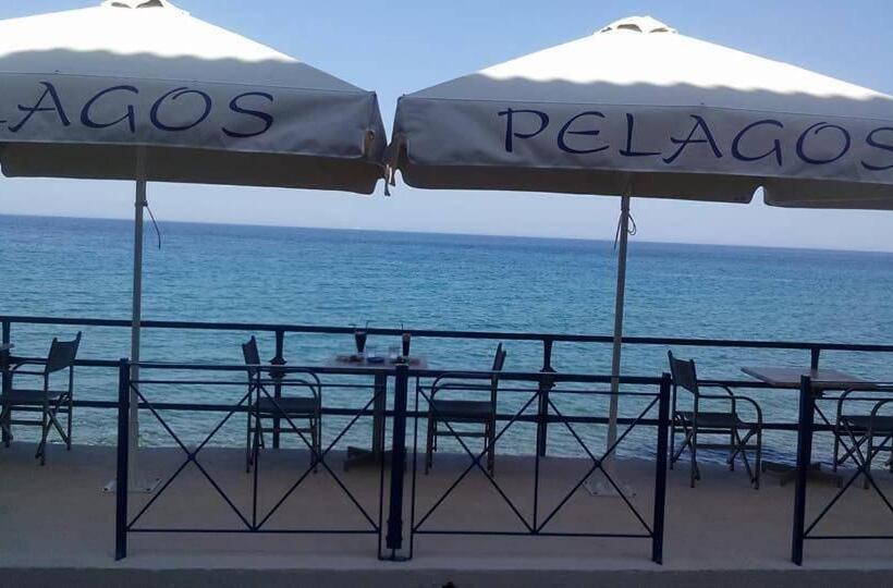 Номер Стандарт, Pelagos Studios