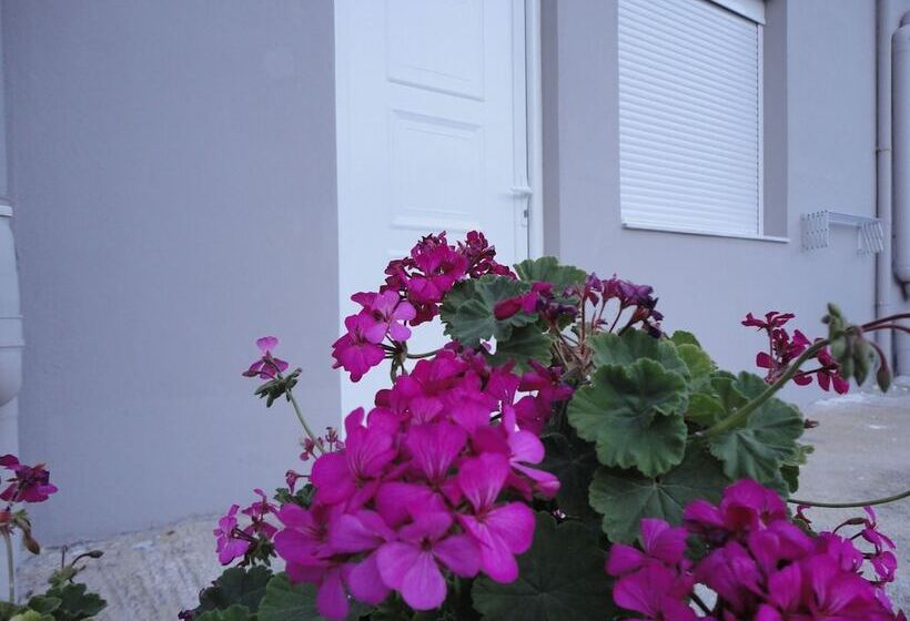 デラックススタジオ, Petries Studios