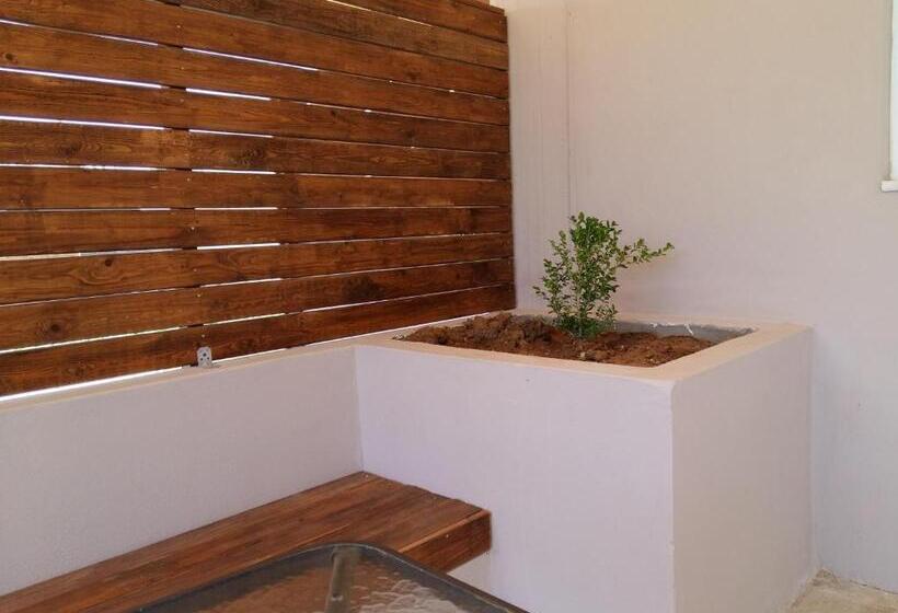 デラックススタジオ, Petries Studios