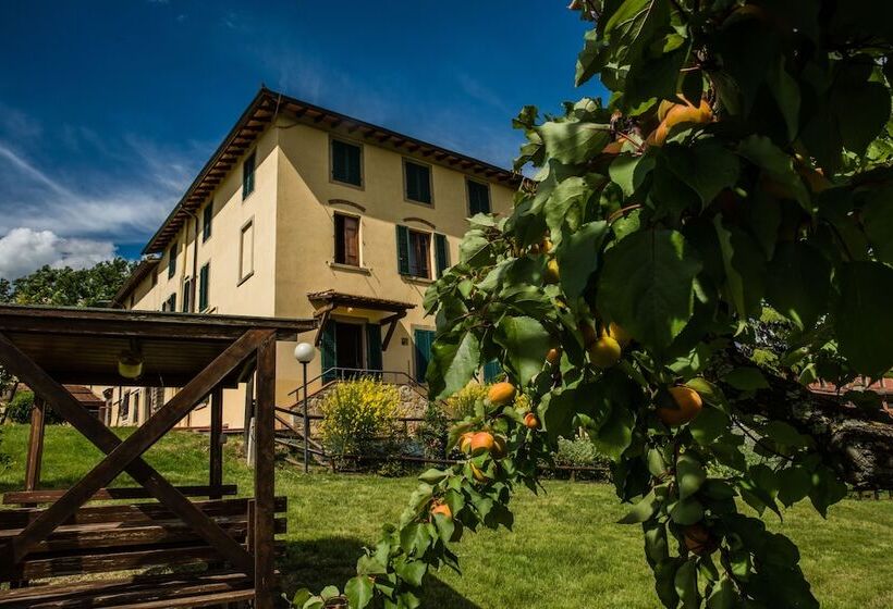 带1个卧室的公寓, Agriturismo Fattoria Sant Appiano