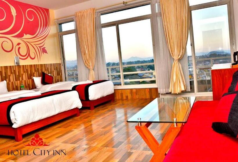 اتاق لوکس با چشم‌انداز شهر, City Inn   Mountain View