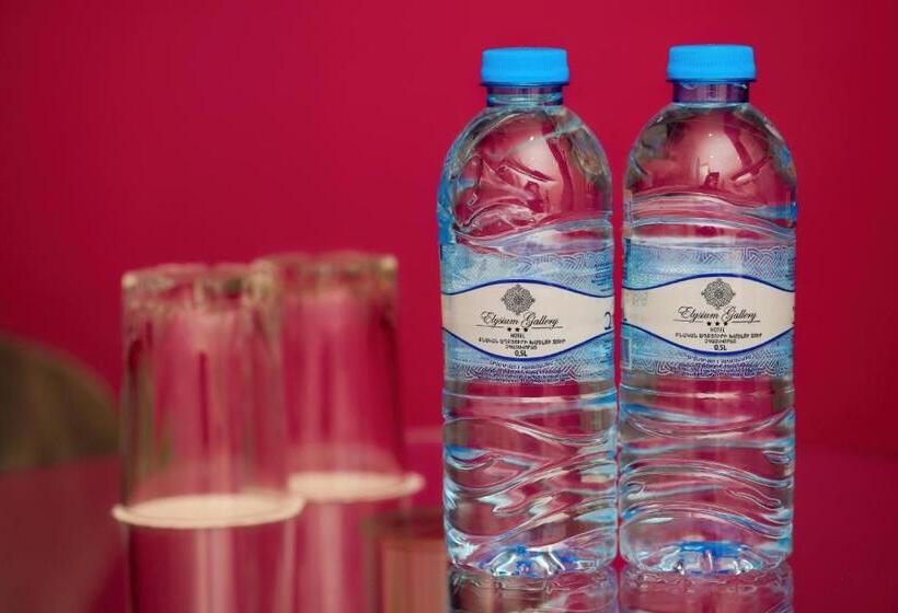 Camera Economy Singola, Elysium Gallery