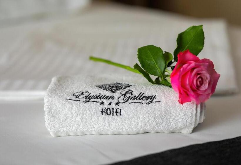 Camera Comfort, Elysium Gallery