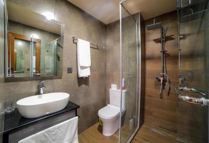 Camera Comfort, Elysium Gallery