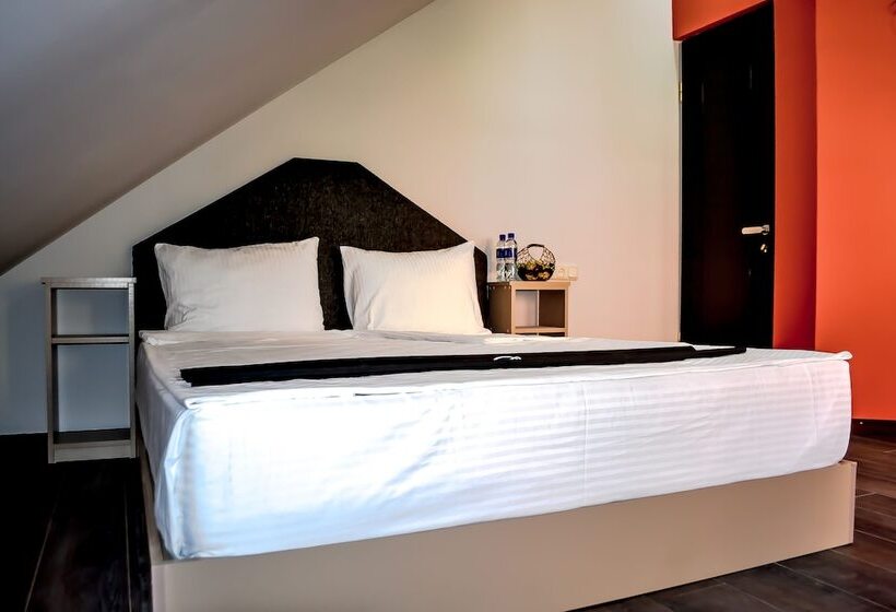 Camera Comfort con Balcone, Elysium Gallery