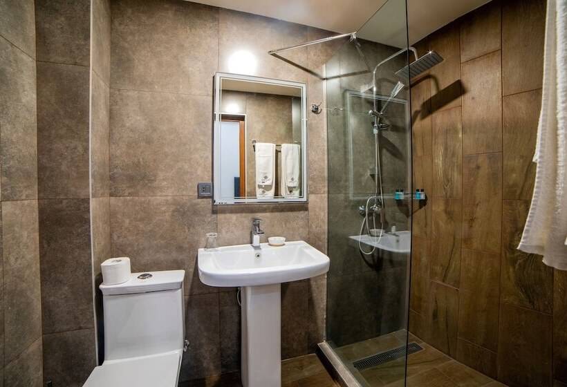 Camera Comfort, Elysium Gallery