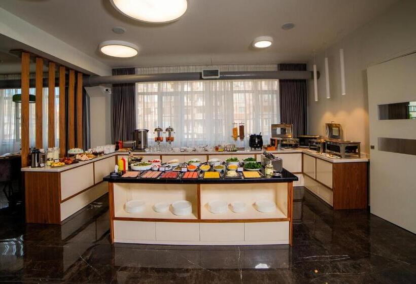 Camera Comfort, Elysium Gallery