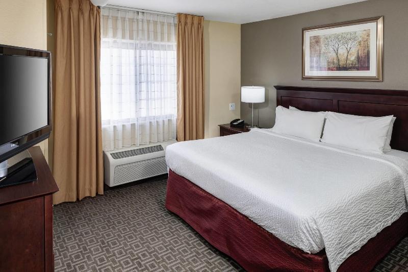 Camera Comfort, Elysium Gallery