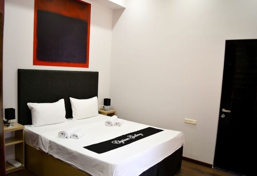 Camera Comfort, Elysium Gallery