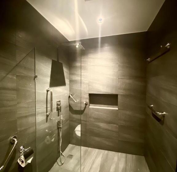 חדר סטנדרט מותאם לאדם עם מוגבלויות, Luisita Central Park