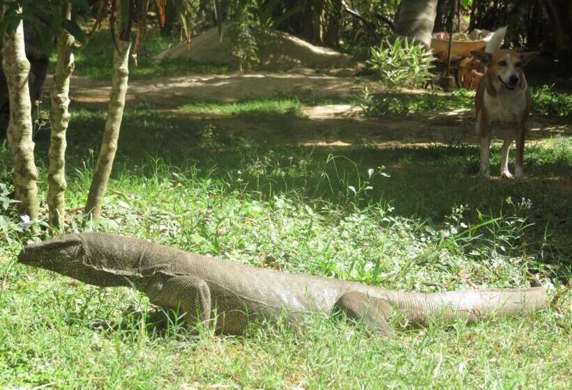 غرفة ديلوكس مطلّة علي البحر مزوَّدة بشُرفة, Beach Lagoon Guesthouse