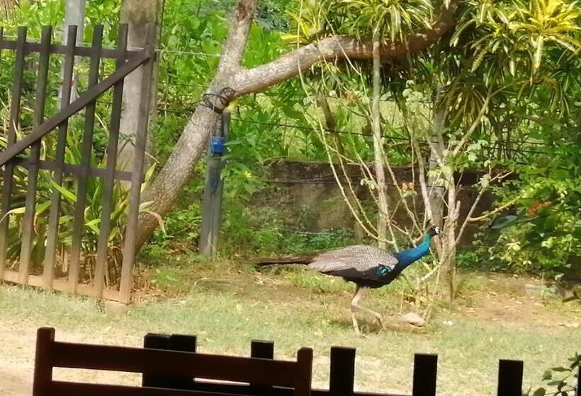 غرفة قياسية مطلّة علي الحديقة, Beach Lagoon Guesthouse