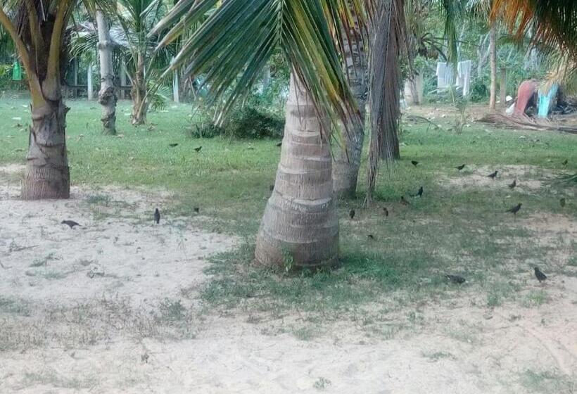 غرفة قياسية مطلّة علي الحديقة, Beach Lagoon Guesthouse