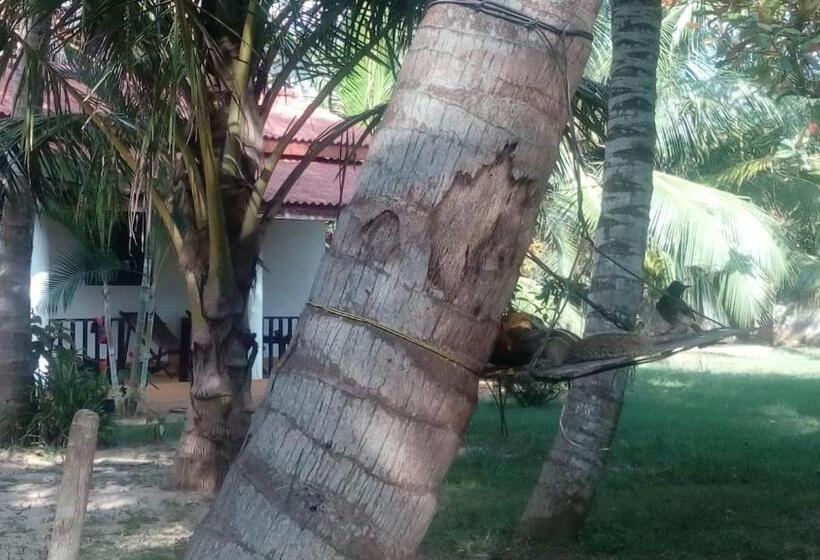 غرفة قياسية مطلّة علي الحديقة, Beach Lagoon Guesthouse