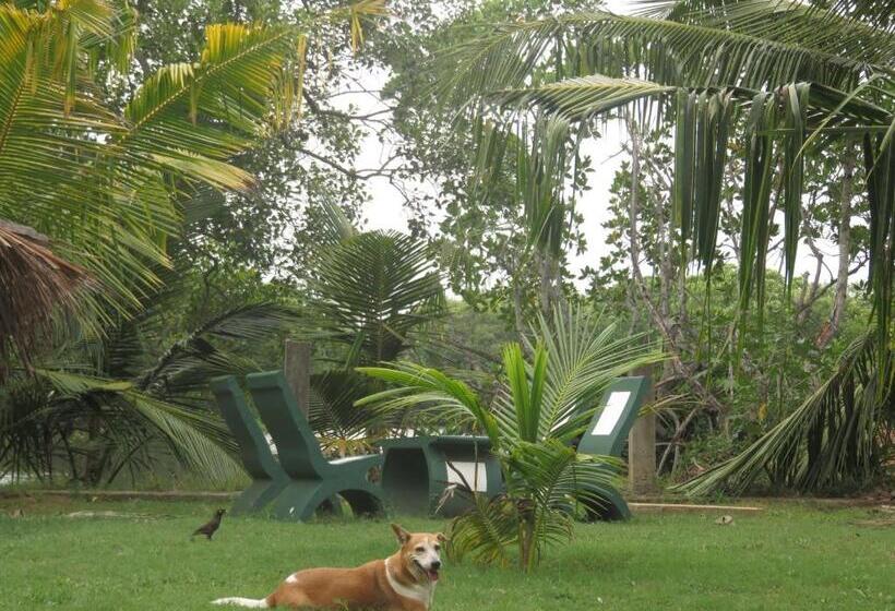 بنجلو قياسى مطلّ علي الحديقة, Beach Lagoon Guesthouse