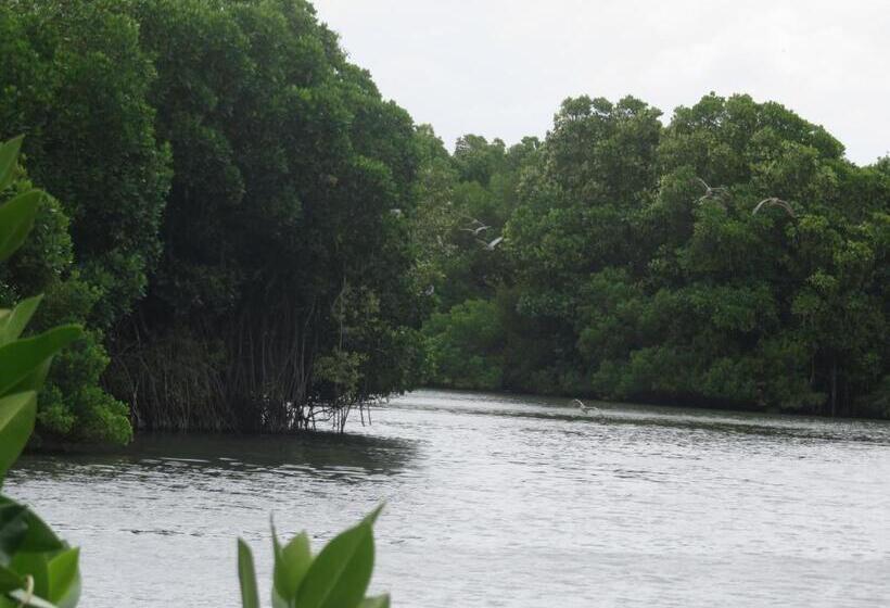 بنجلو قياسى مطلّ علي الحديقة, Beach Lagoon Guesthouse