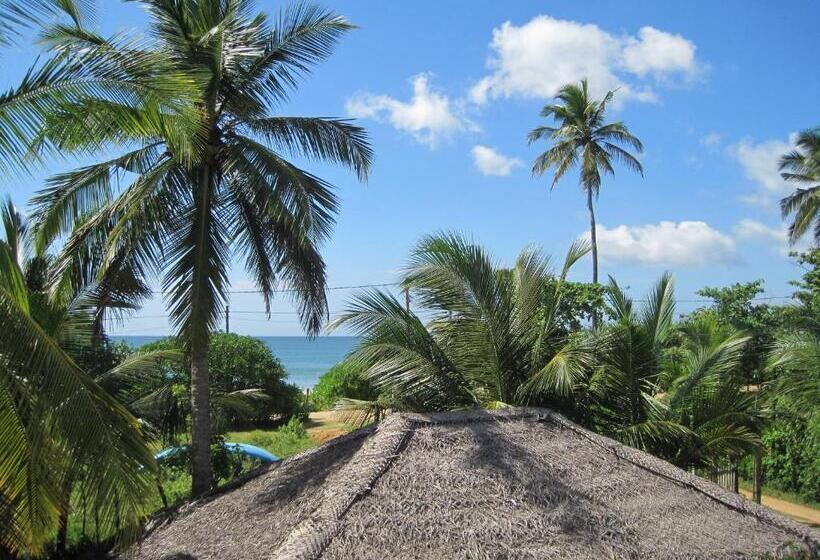 غرفة ديلوكس مطلّة علي البحر مزوَّدة بشُرفة, Beach Lagoon Guesthouse