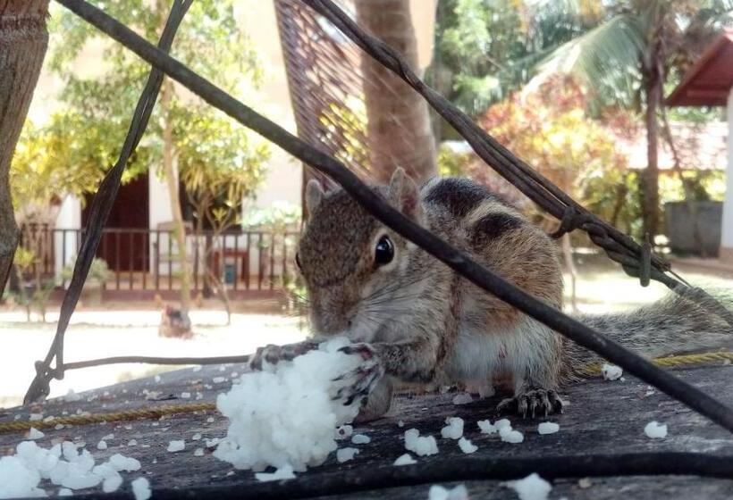 غرفة قياسية مطلّة علي الحديقة, Beach Lagoon Guesthouse