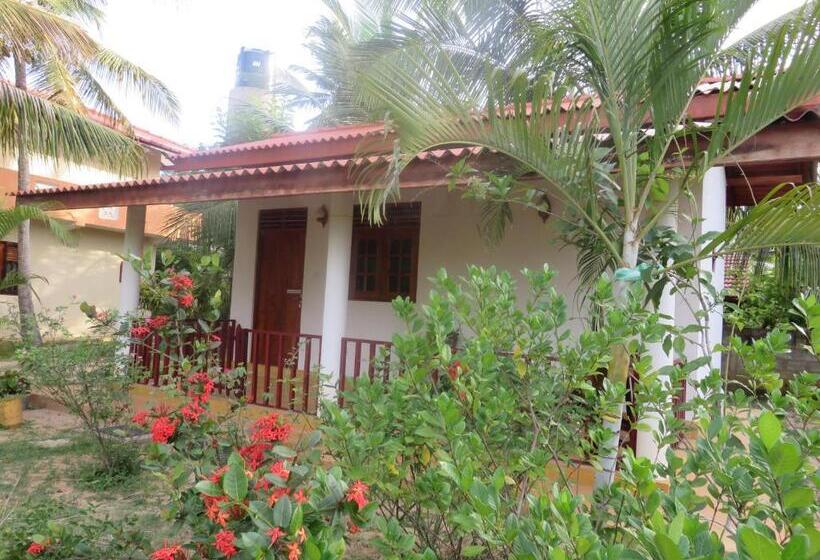 بنجلو قياسى مطلّ علي الحديقة, Beach Lagoon Guesthouse