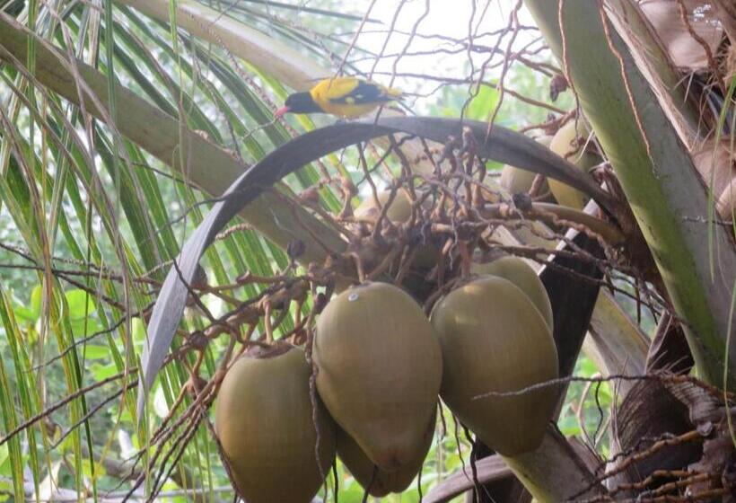 بنجلو قياسى مطلّ علي الحديقة, Beach Lagoon Guesthouse