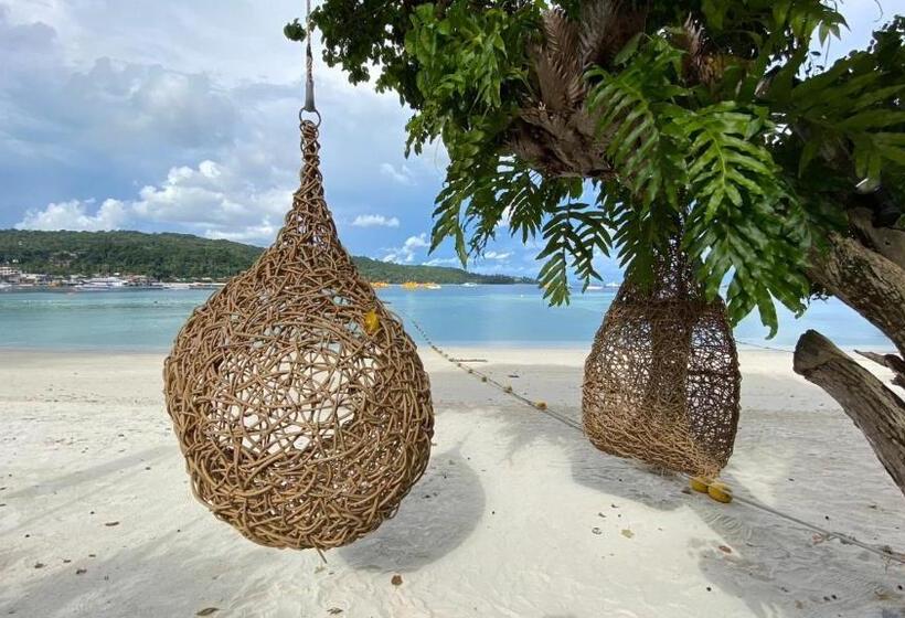 豪华海景房, Phi Phi Cliff Beach Resort