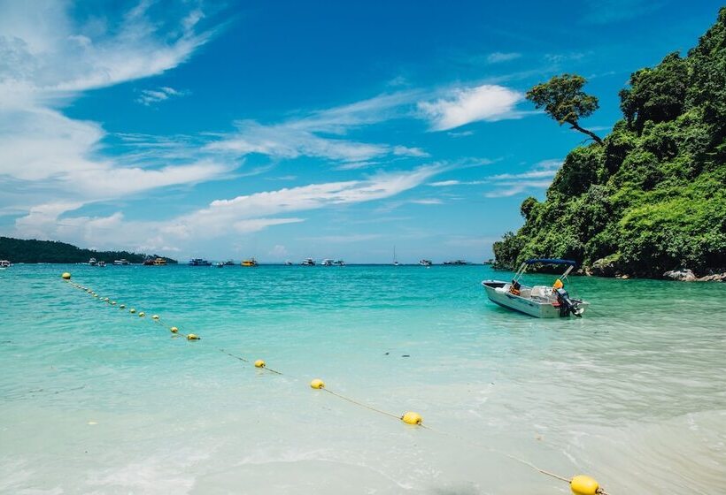 豪华房间, Phi Phi Cliff Beach Resort