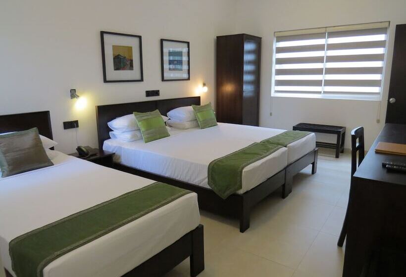 スタンダードトリプルルーム, Chapelton House