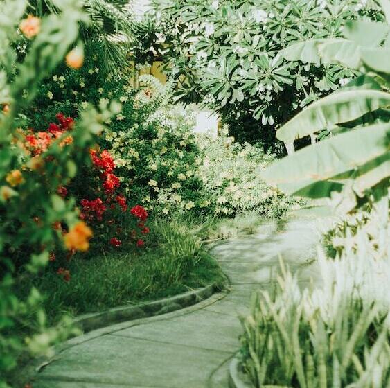 اتاق استاندارد, Beach Garden