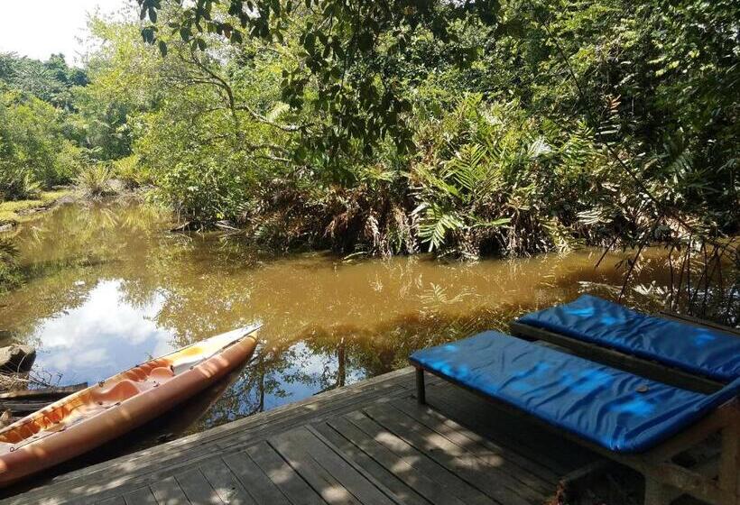 آپارتمان 2 خوابه, Hôtel Restaurant Gites Kribi