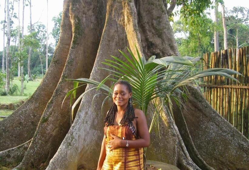 اتاق استاندارد, Hôtel Restaurant Gites Kribi