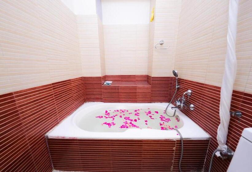 اتاق لوکس یک تخته, Mums Home, A Classical Comfort