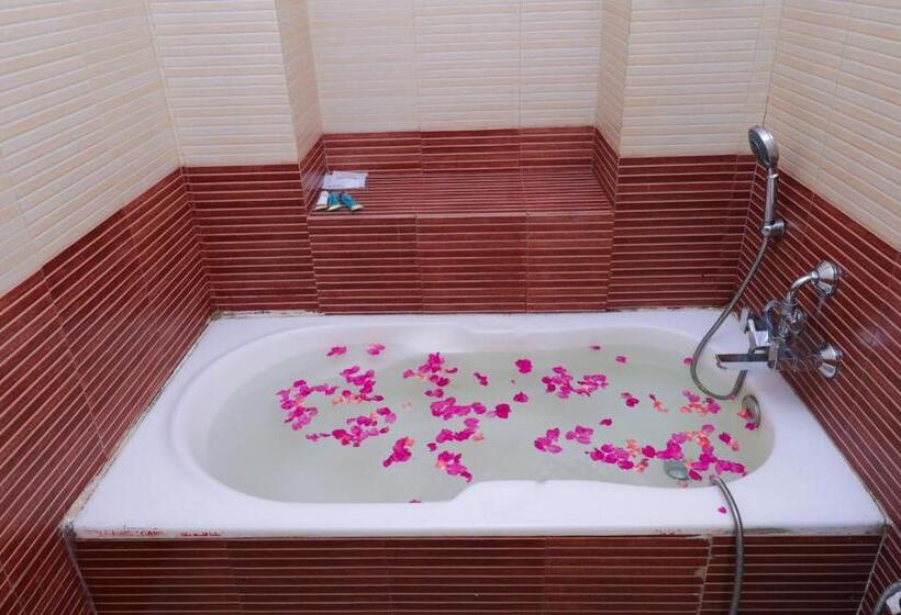 اتاق لوکس یک تخته, Mums Home, A Classical Comfort