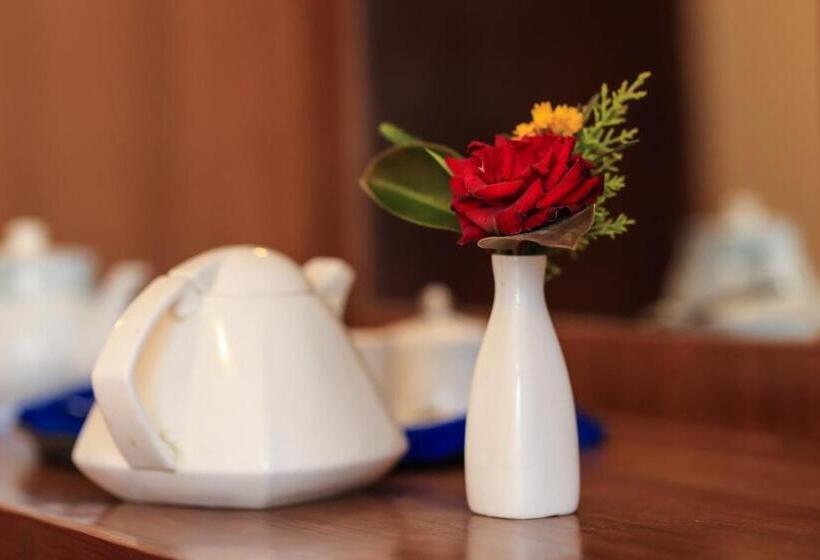 اتاق لوکس, Mums Home, A Classical Comfort