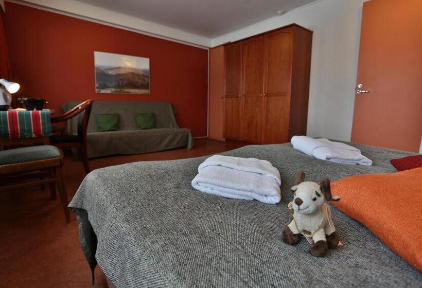 חדר סטנדרט יחיד, Ylläs Lake