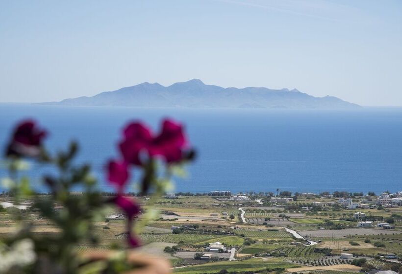1间卧室的房子, Morning Star Traditional Houses